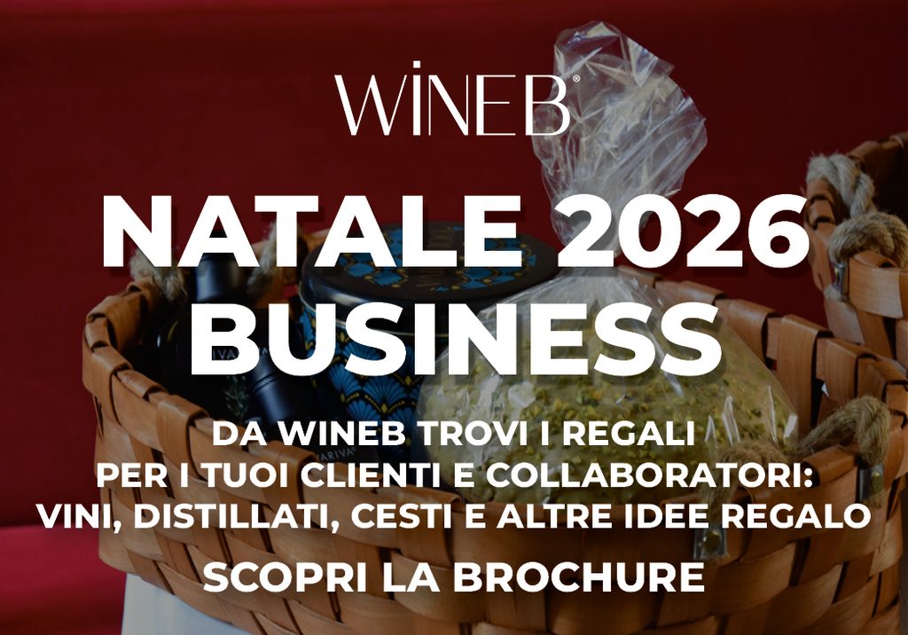 Promozioni Natale Business 2026